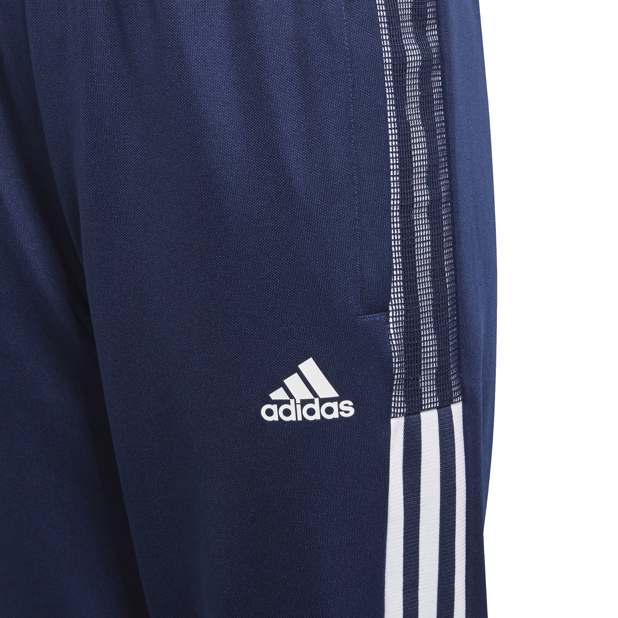 CANBERRA WHITE EAGLES  Tiro 21 Track Youth Pants