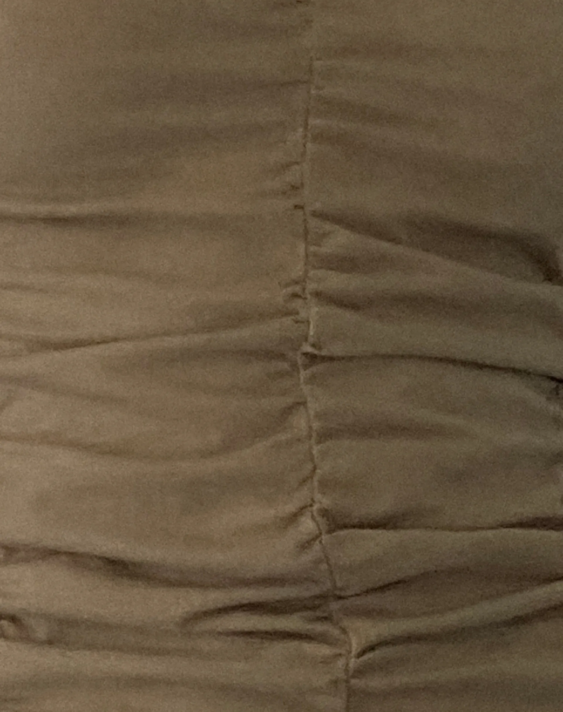 Gryae Ruched Front Top in Biscotti