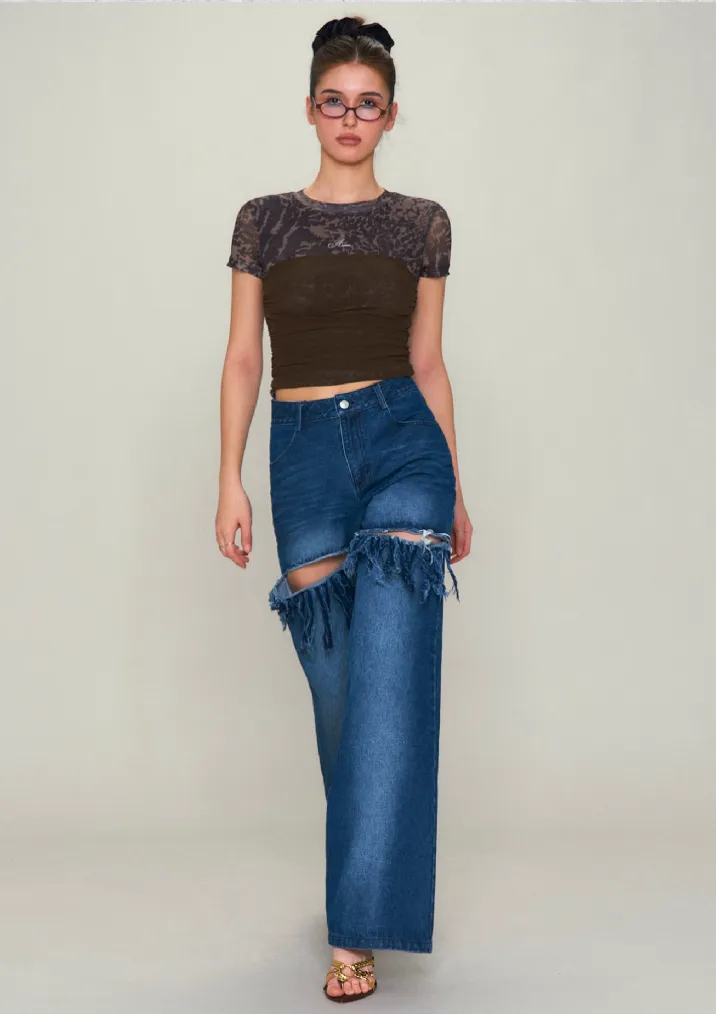 Leopard Print Sheer Cropped Top