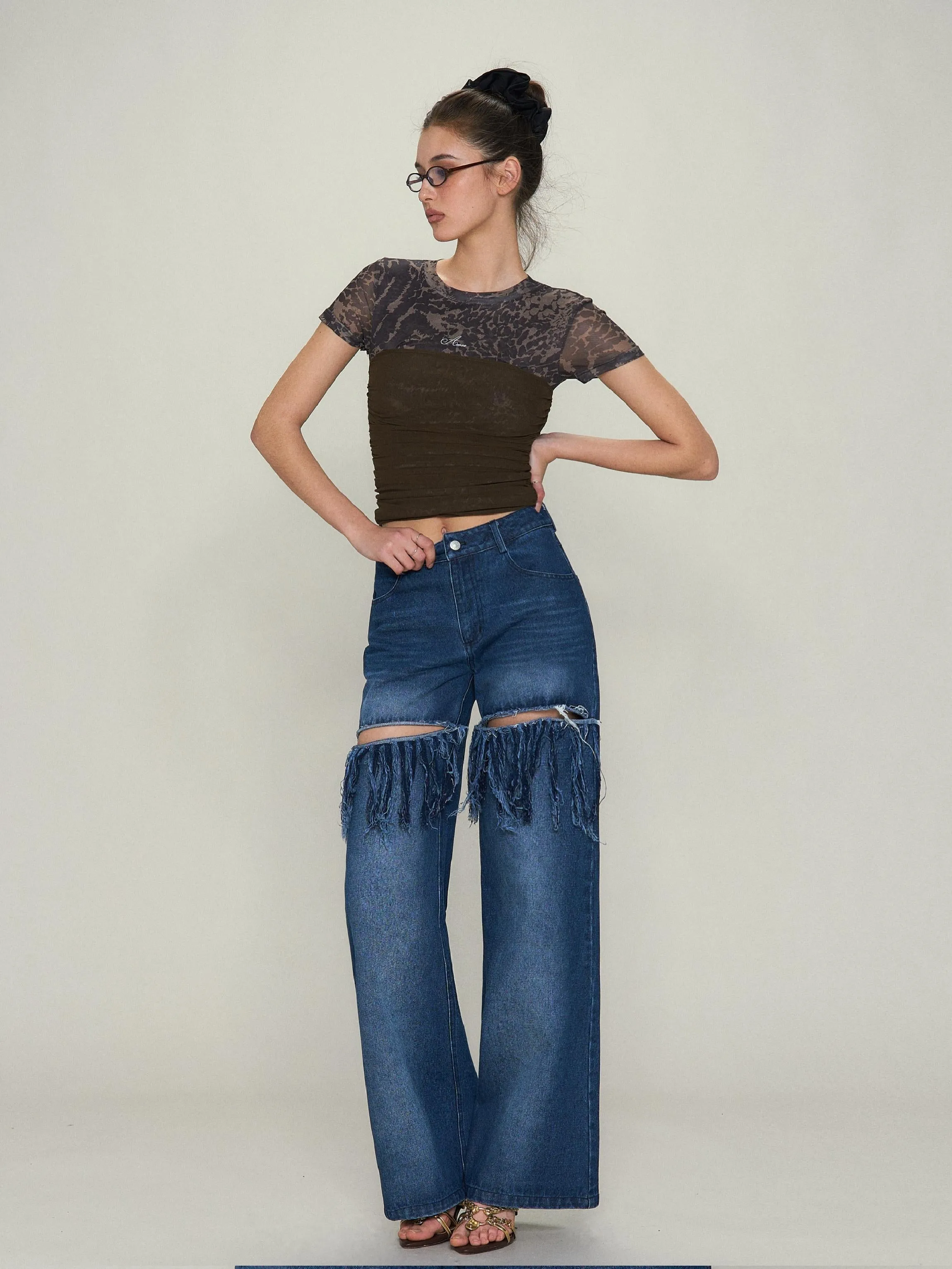 Leopard Print Sheer Cropped Top