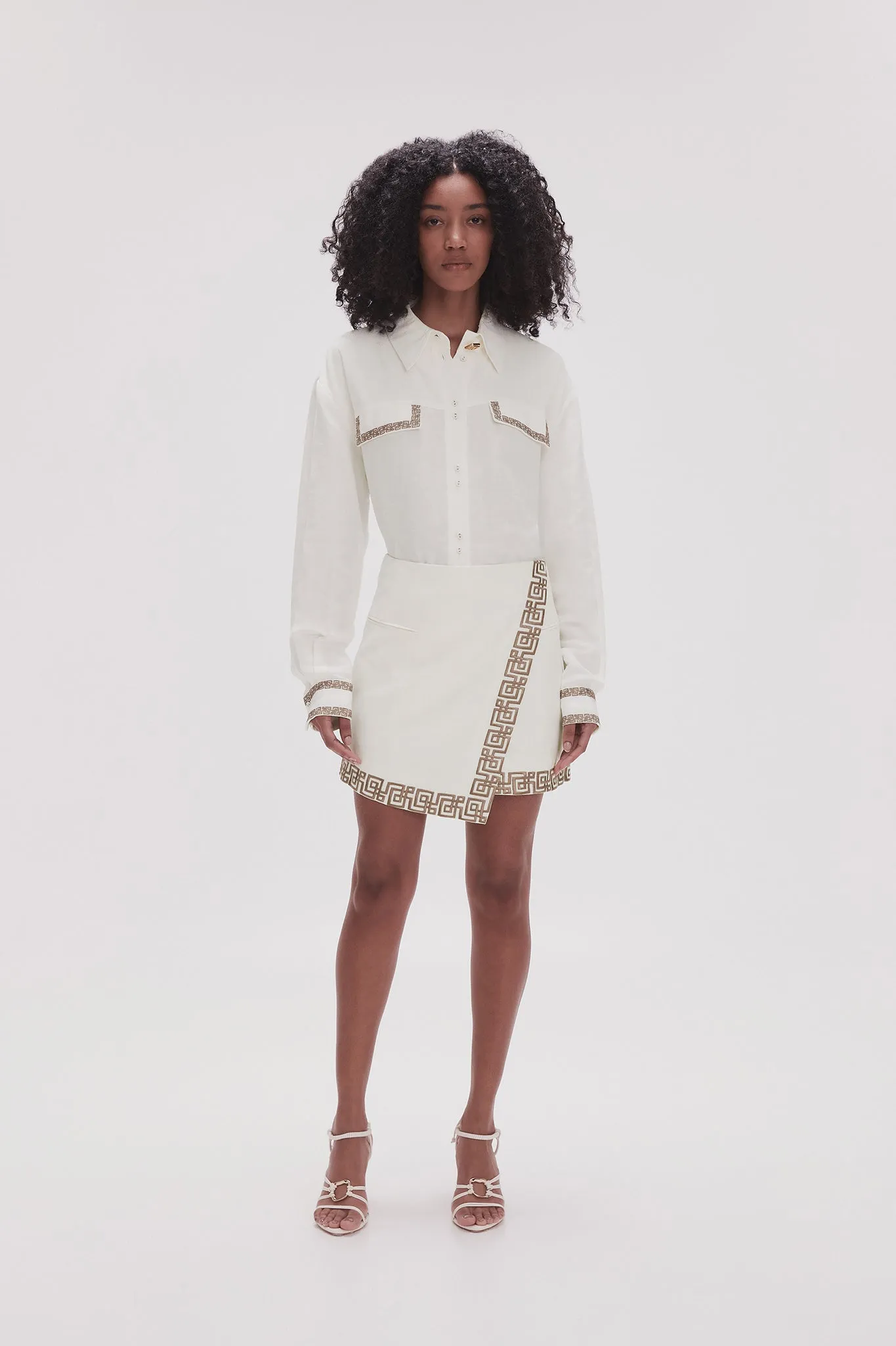 Voyager Embroidered Mini Skirt