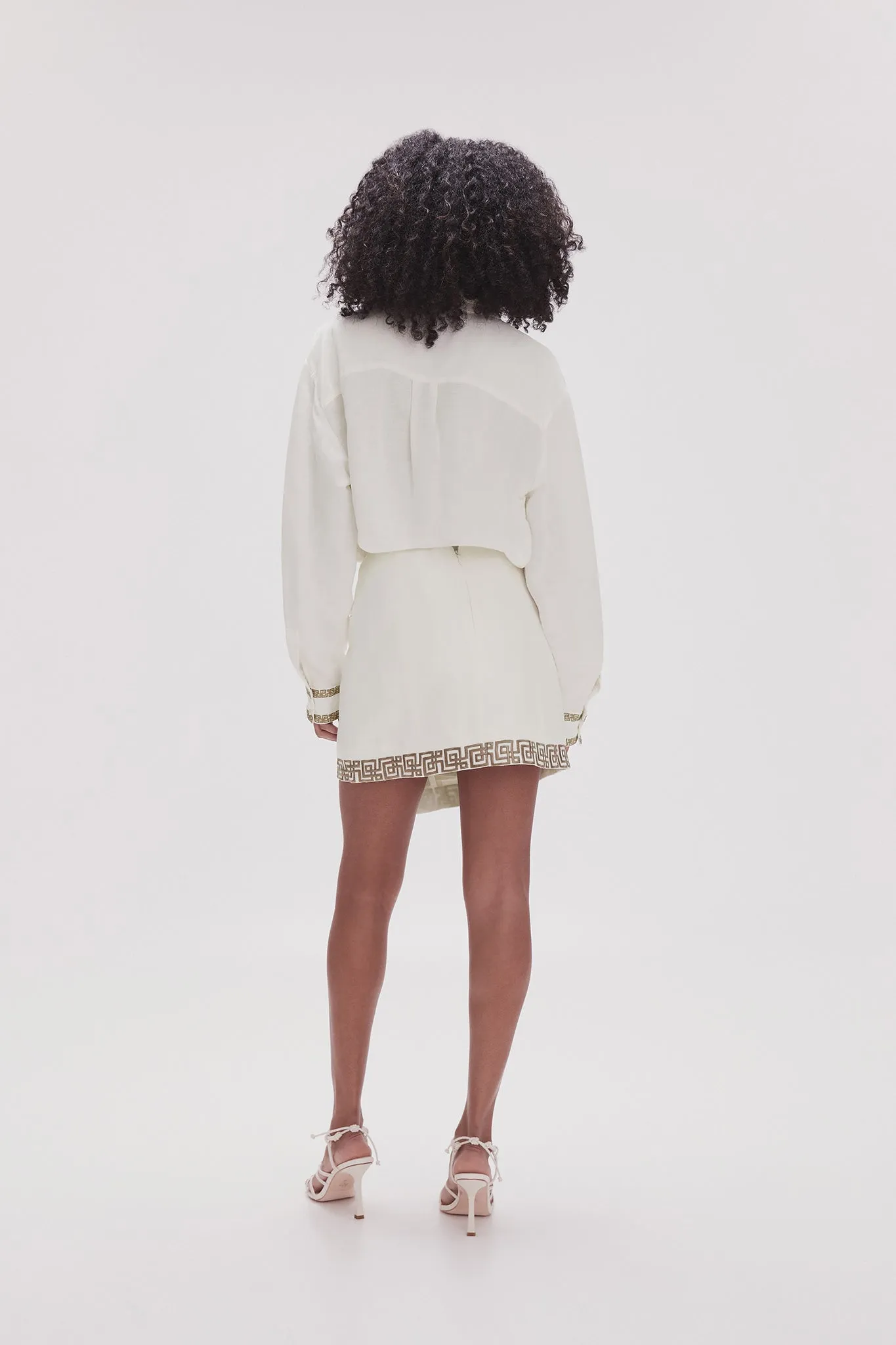 Voyager Embroidered Mini Skirt