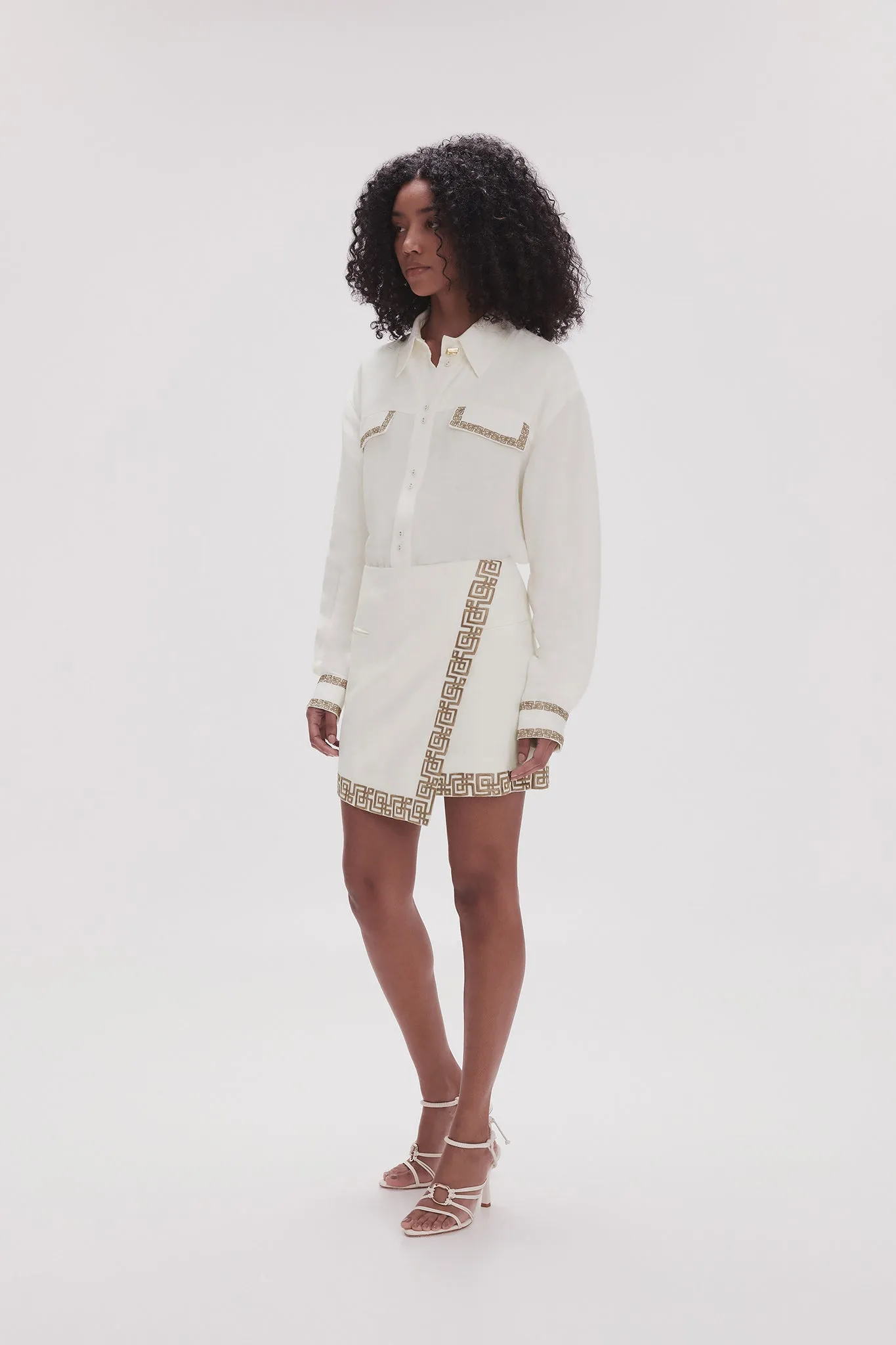 Voyager Embroidered Mini Skirt